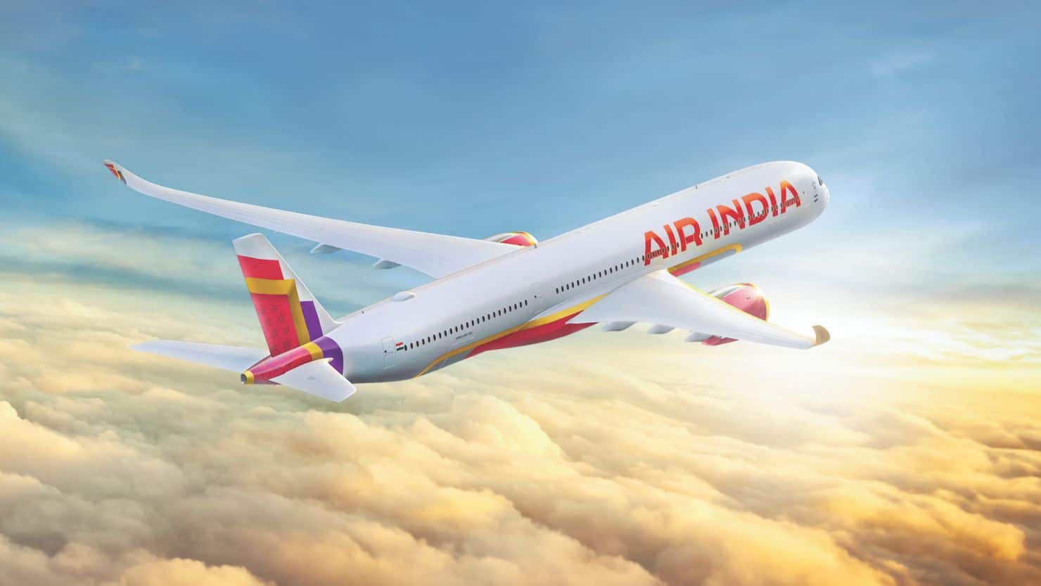 Air India Airplane (1)